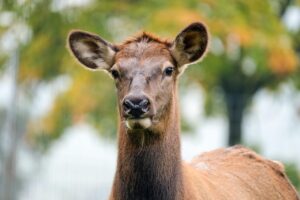 直葬の手続きが簡単にできる方法は？