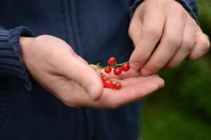 関東の葬儀社に関する口コミで知っておくべきポイントは？