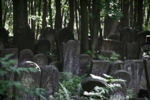 お葬式の種類を比較して選ぶポイントは？