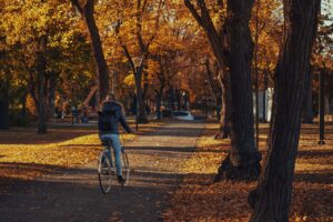 火葬式の深夜見積りはどのように取得すれば良いですか？