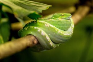 火葬式の見積りを即日で取得する方法は？