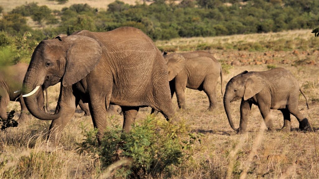 川崎での家族葬の見積りはどのように行うべきか？