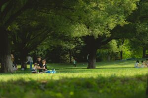 家族葬のプランにはどんな違いがあるのか？