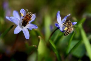 火葬式の見積りを比較して安い業者を見つける方法は？